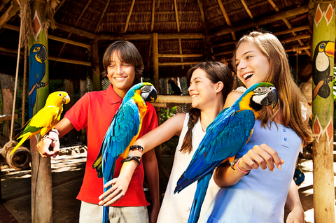 Beach Park Resorts, Ceará — imagem 5