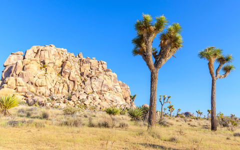 Califórnia, Nevada & Arizona de Motorhome — imagem 5