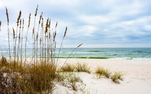 Orlando & Norte da Florida de Motorhome — imagem 5