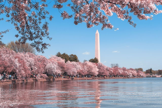 Pacote Aéreo - Miami com Washington — imagem 1