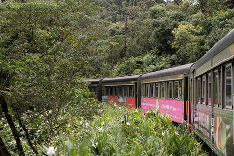 Curitiba de Trem é Bem Melhor!, Paraná — imagem 14
