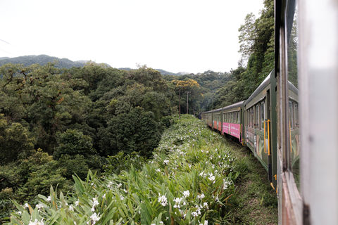 Curitiba de Trem é Bem Melhor!, Paraná — imagem 15