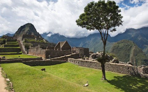 Peru Cultural, Sol e Relax — imagem 3