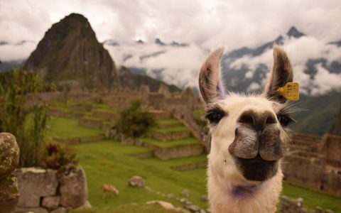 Peru - Saída exclusiva para mulheres — imagem 3