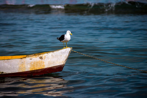Búzios — imagem 4