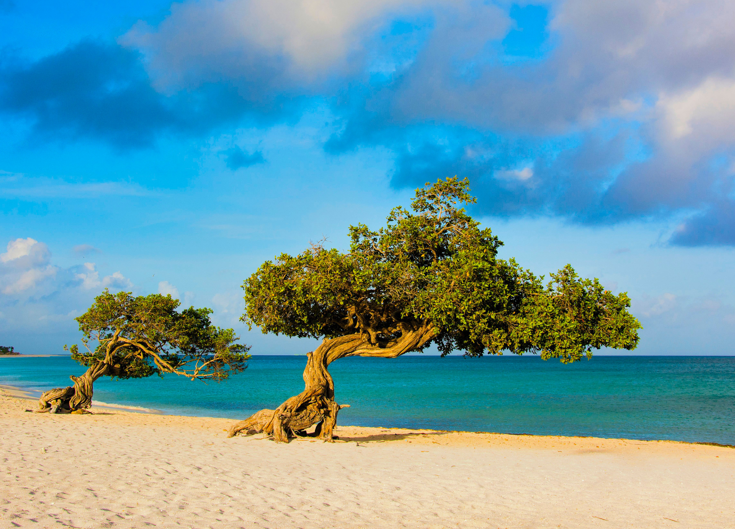 Aruba